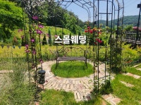 꼬사꼬사카페