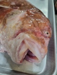 태창식당