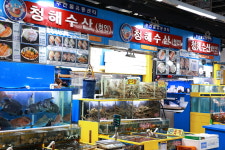 가락시장 청해수산
