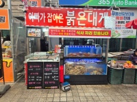 아빠가잡아온붉은대게
