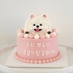 댕킷