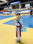 용인대 태비태권도