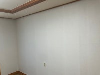 도배데이