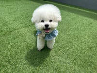 댕스라이프&댕스살롱