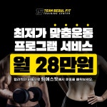 팀에스핏