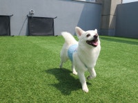 댕스라이프&댕스살롱