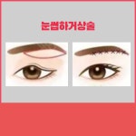 메리미의원