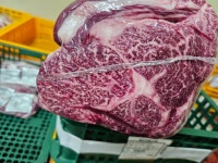 지노목장무선점