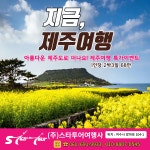 스타투어여행사