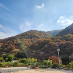 청강수반딧불이민박