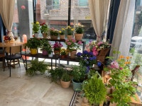 플라워카페 소월의봄