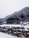 청강수반딧불이민박