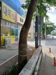 대박난집