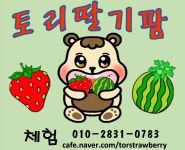 토리딸기팜