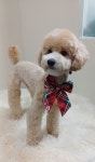 멍