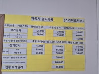 스카이모터스