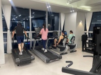 더베럴핏