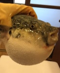 산호복집