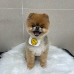 그루밍버블리