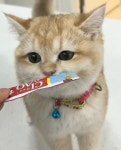 로고스동물병원