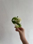포브포어스