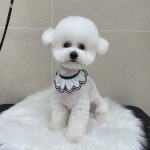 그루밍버블리