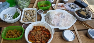 샤크호