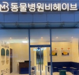 동물병원비헤이브