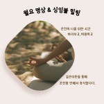 안의울림 싱잉볼 마음챙김 원데이