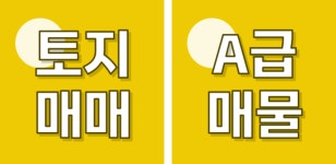 동해청운공인중개사사무소
