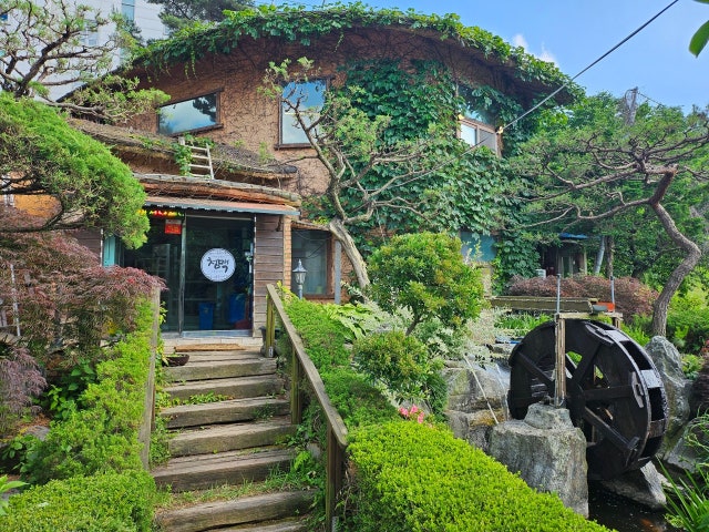 청맥
