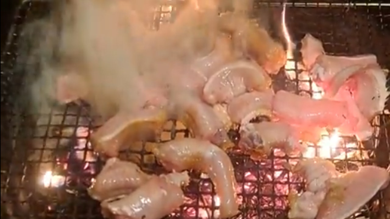 라이브 산꼼장어