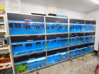 금성수족관&선물