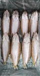 흥진수산