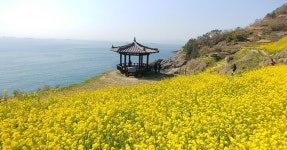독일마을공인중개사사무소