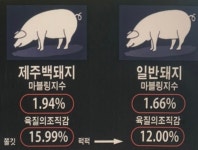 제주고집 주안북부역 본점