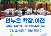인누온 강아지유치원 놀이방 호텔 미용