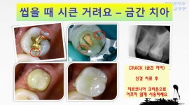 화이트치과의원