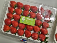 베리베리팜 딸기농장