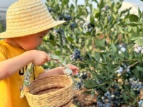 치유농장 베리가든