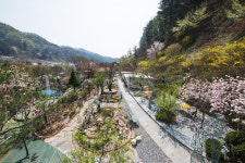 타샤의정원251