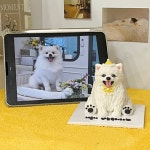 펫베이커리파프