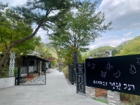 타샤의정원251