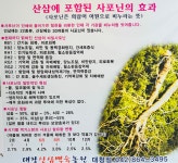 대왕산삼백숙농원 대청댐점 삼계탕 갈비탕 오리 닭 백숙