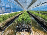 영생과수묘목 영농조합법인