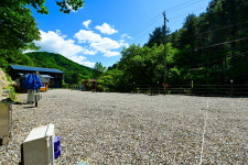 숲속다람쥐펜션