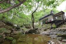 숲속다람쥐펜션