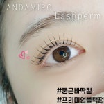 맨디플레이스네일&속눈썹 인천논현점 | 안다미로 속눈썹&네일&왁싱 창원마산점