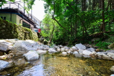 숲속다람쥐펜션