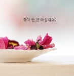 한국꽃차문화아카데미